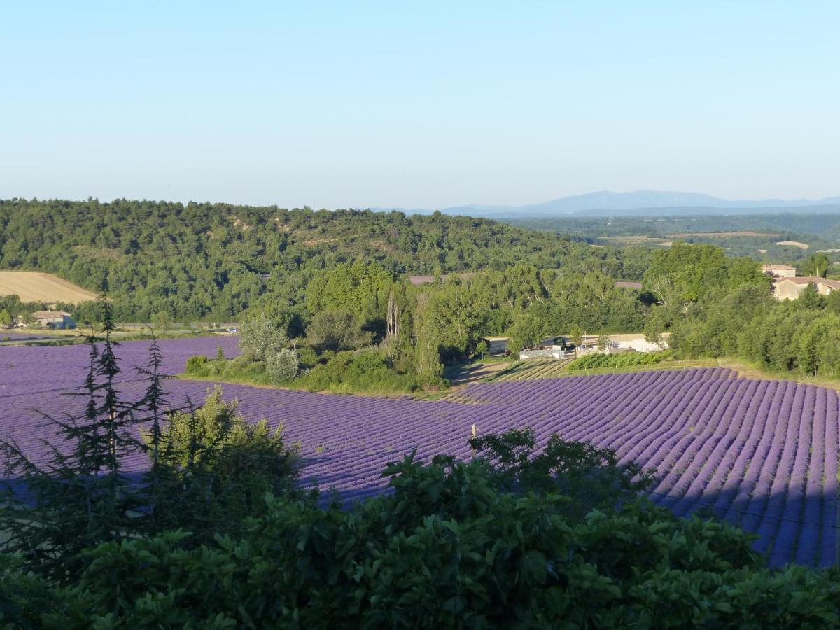 La Ferme Du Petit Segries Bed And Breakfast Moustiers-Sainte-Marie Bagian luar foto