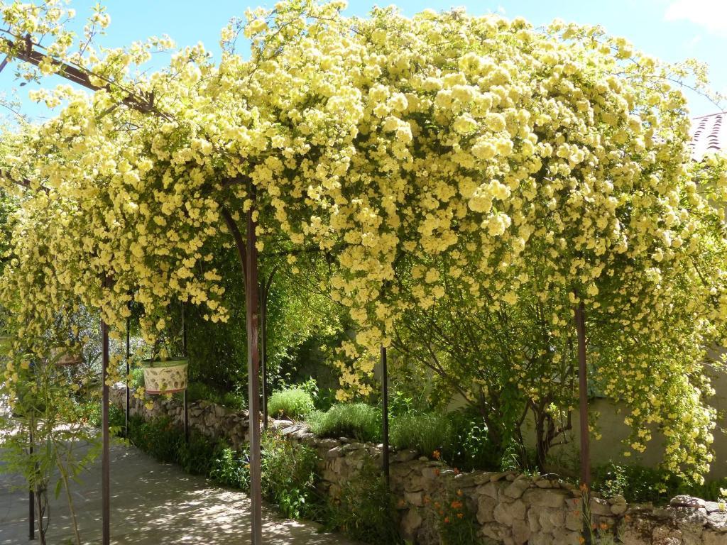 La Ferme Du Petit Segries Bed And Breakfast Moustiers-Sainte-Marie Bagian luar foto